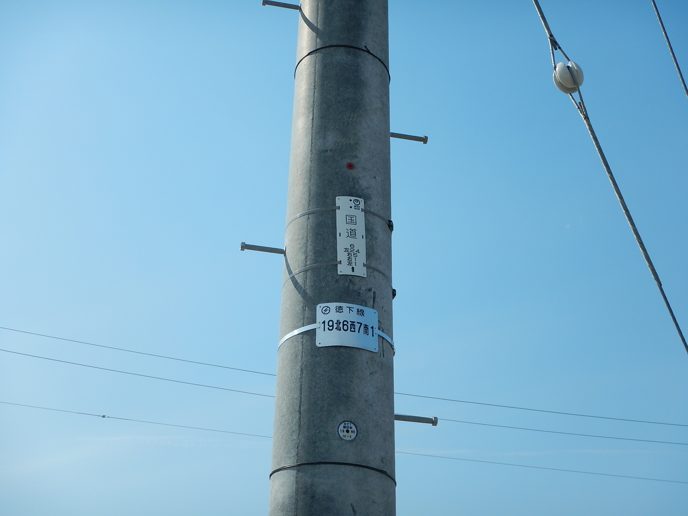 電柱