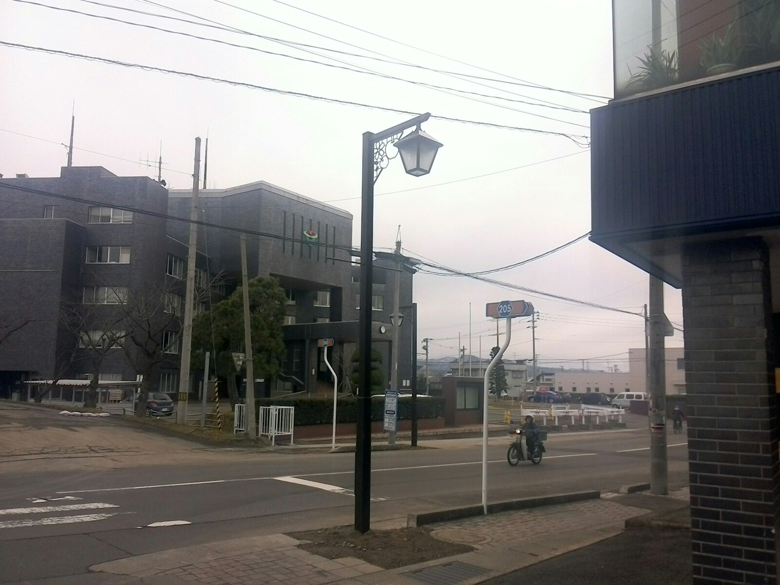 道路沿いの照明