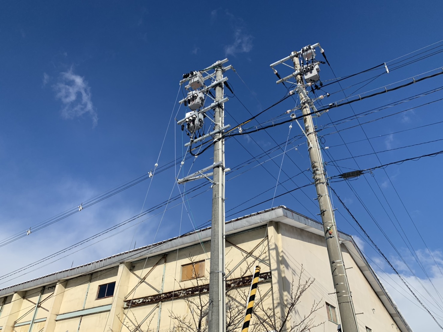 建物のそばの電柱